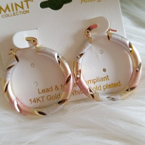 Mint Collection 14K Gold& White Gold Plated Hoop - Picture 2 of 3